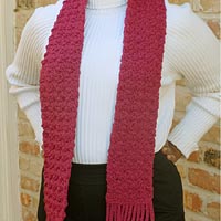 January Birthstone Color Scarf - Garnet